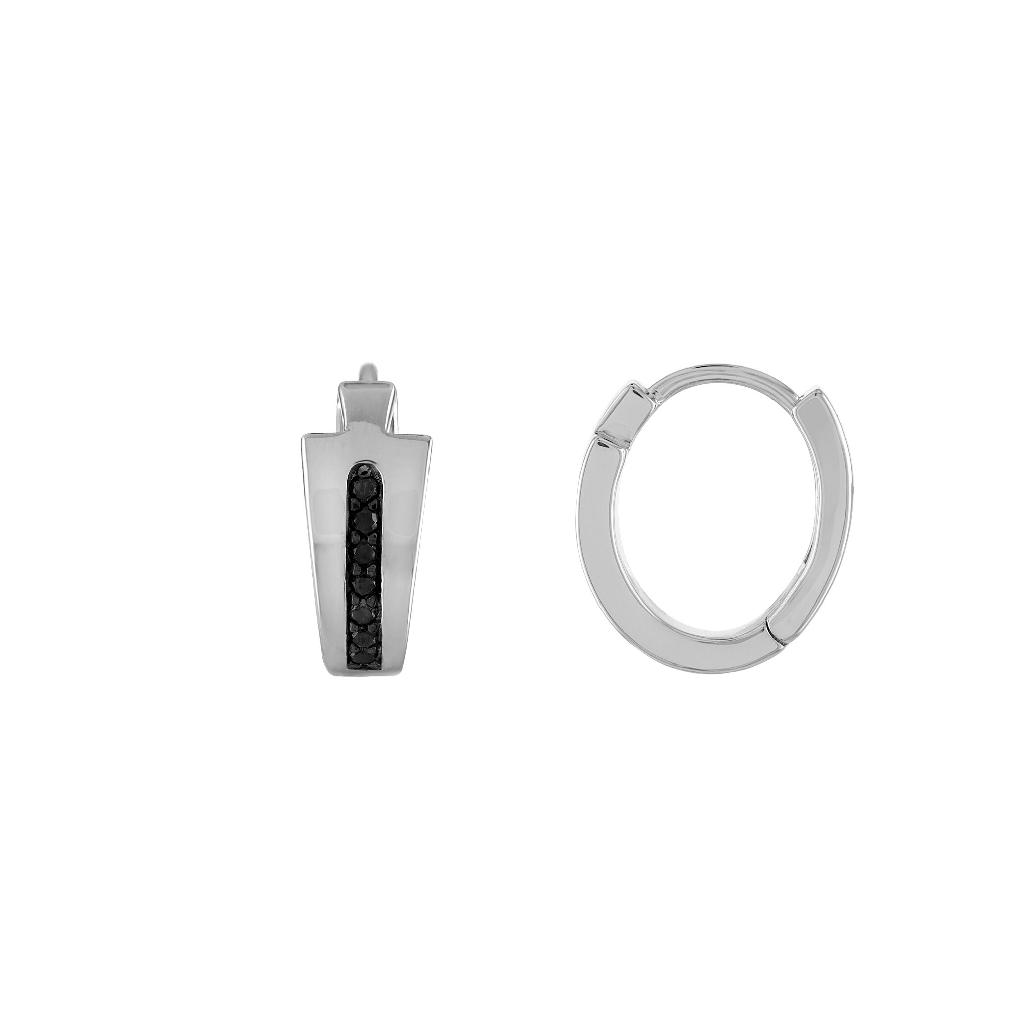 Icon Earrings - BVE1007-WSAA